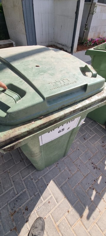 ניקוי פחים בקיטור