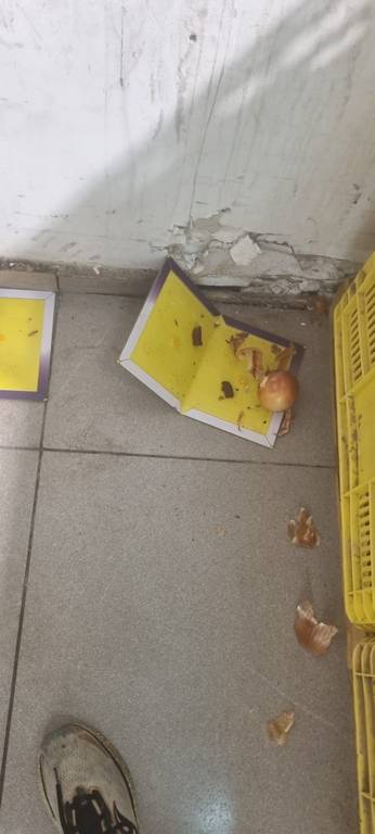 סימנים לנוכחות חולדות ועכברים במטבח הביתי